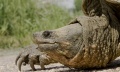 Bilder_USA_2009 140.jpg